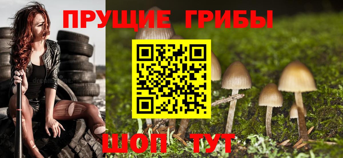 Псилоцибиновые грибы ЛСД  Вход с VPN  Кумертау 